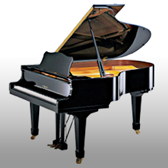 �̔��E����